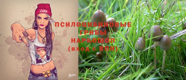 mix Горняк