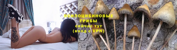 mix Горняк
