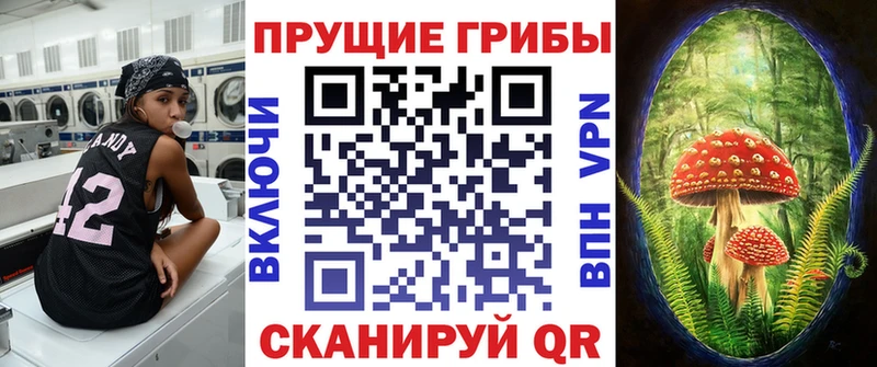 Псилоцибиновые грибы GOLDEN TEACHER  Купить где  Инза 