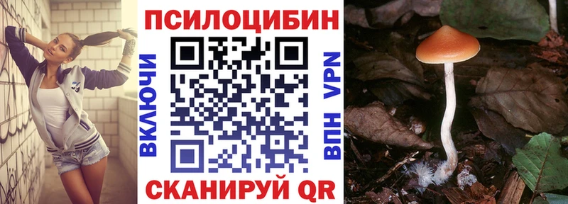 Галлюциногенные грибы Psilocybine cubensis Инза